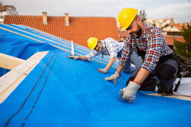 Best Best Roofing Contractors  in Wrangell, AK