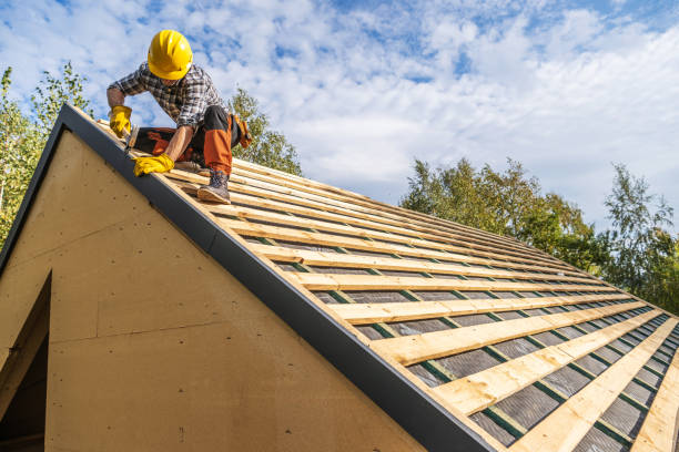 Best Local Roofing Companies  in Wrangell, AK
