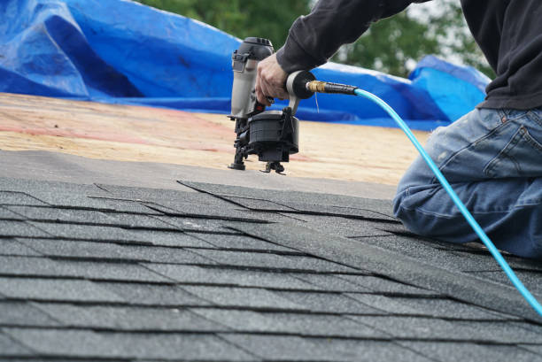 Best Local Roofing Companies  in Wrangell, AK