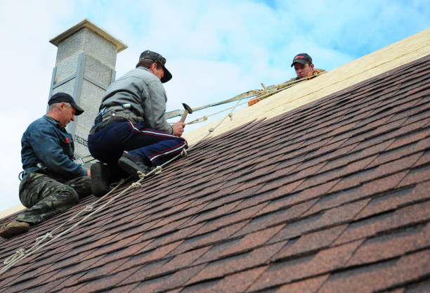 Best Roof Repair Services  in Wrangell, AK